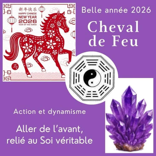 Bon passage et entrée en cheval de feu !