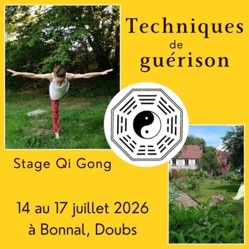 Expérimentez et comprenez les dynamiques de guérison