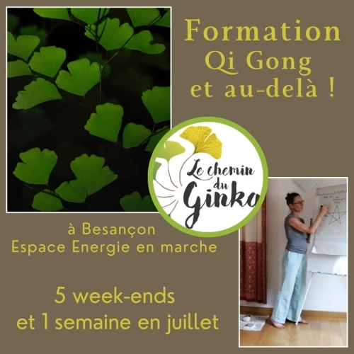 3 formes à découvrir en formation QI Gong !
