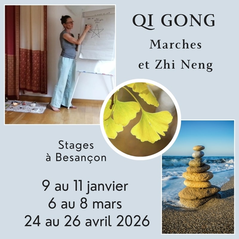 formarion pro qi gong marches et zhi neng gaelle pierron