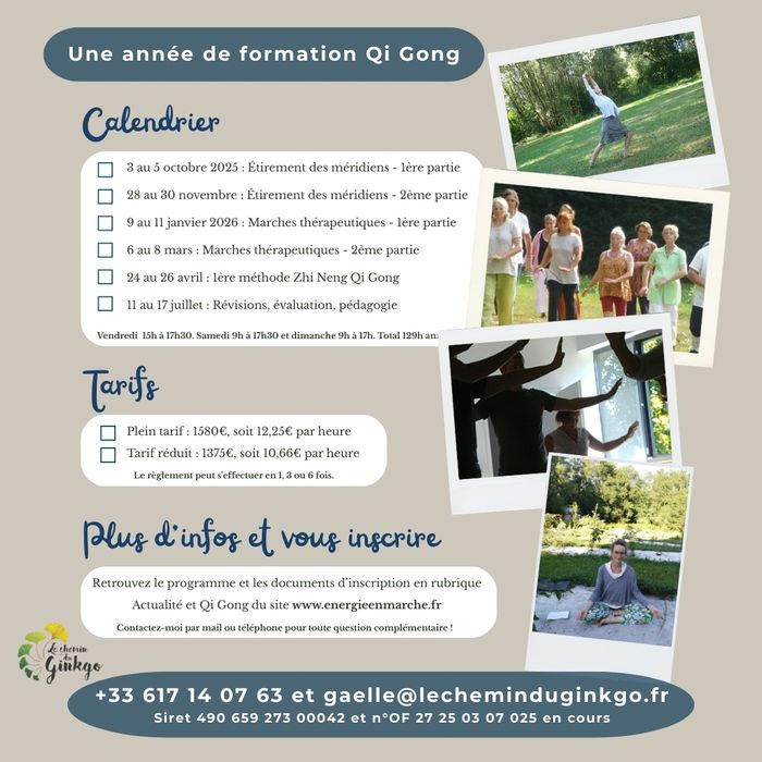 formation stage qi gong verso gaelle pierron