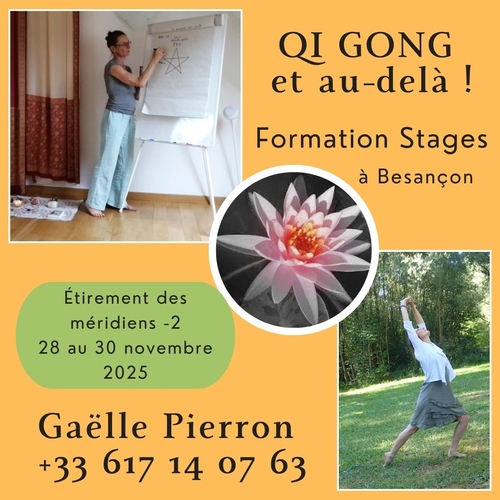 qi gong etirements meridiens 2 gaelle pierron 500