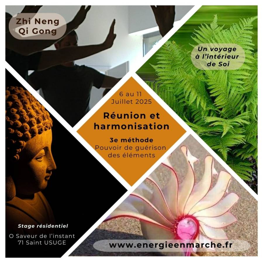 Retraite Zhi Neng Qi Gong, 6 au 11 juillet 2025
